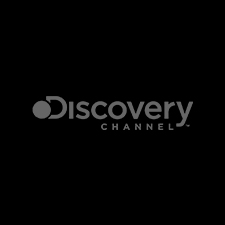 discovery